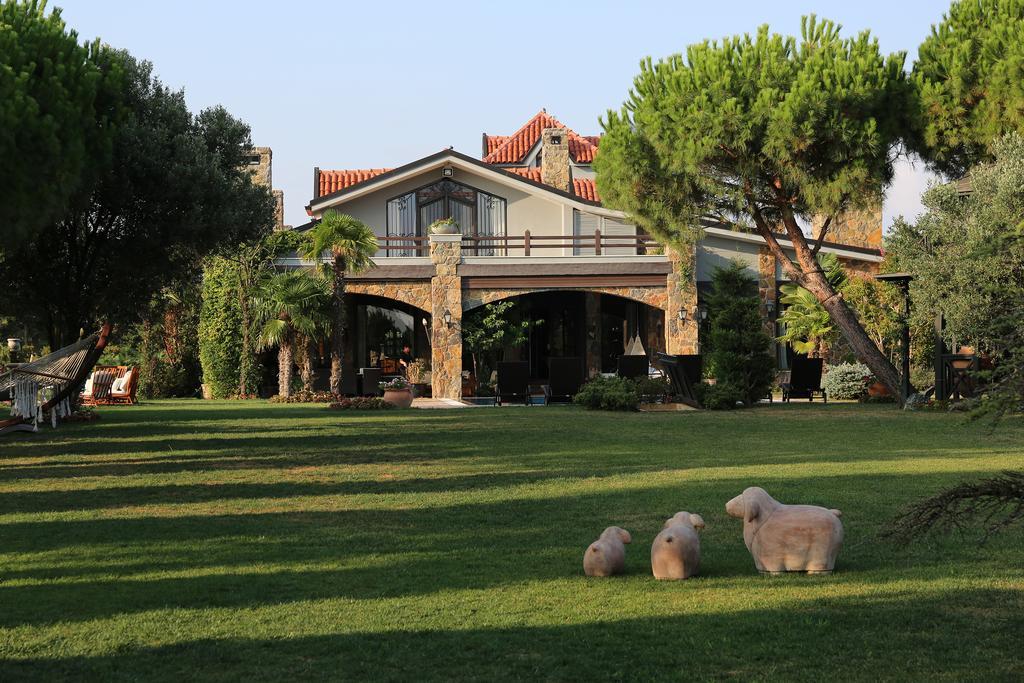 Grandma'S Wonderland Guest House Gazitepekoy Exterior photo